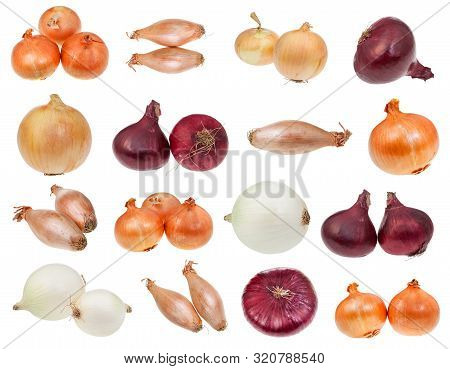 Various Bulb Onions Isolated On White Background