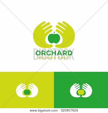 Organic Fruit Emblem. Two Palms Are Keeping And Ripe Apple Isolated On A Light Background. Hand Pick