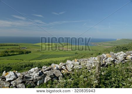 View From Swyre Head Ridge Over Kimmeridge Bay On The Dorset Coast