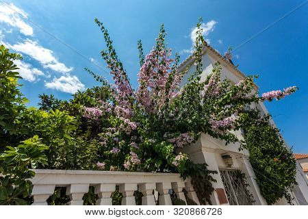 The Small Authentic Streets Of Spetses Island