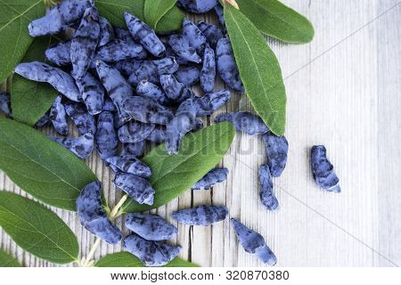Honeysuckle Berry Or Woodbine With Green Leaves On Light Coloured Wooden Background. Close Up View.