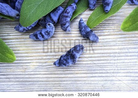 Honeysuckle Berry Or Woodbine With Green Leaves On Light Coloured Wooden Background. Close Up View.