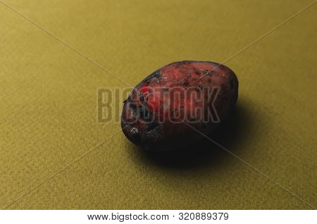 The Weird Organic Ugly Mutant Red Potato Jagged With Insect Bites Soured And Turned Black On A Green