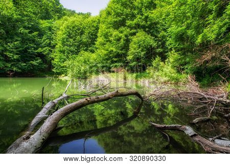 Reflection On Lake Male Morske Oko In Forest. Vihorlat Mountains, Slovakia