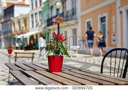 Brown Wooden Table And Chairs Stand On A Portuguese Sidewalk In An Outdoor Cafe. A Small Flower Pot 