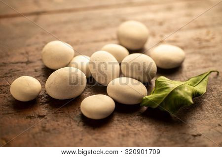 little white fluvial stones on wooden surface