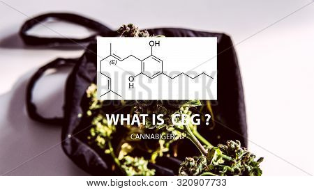 Cannabigerol Cannabinoid Compounds In The Female Cannabis Plant. Cbg Element In Medical Marijuana St