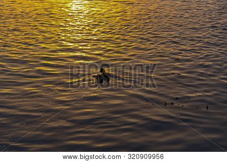 Sunset In The Dnieper River