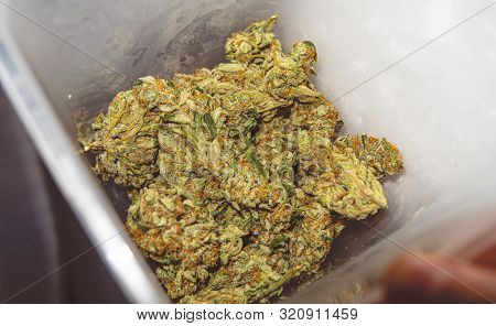 Modern Ways Of Smoking Marijuana In The World. Recreational Cannabis Smoking Culture