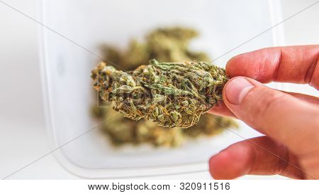 Modern Ways Of Smoking Marijuana In The World. Recreational Cannabis Smoking Culture