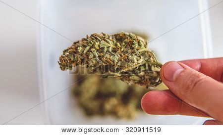 Modern Ways Of Smoking Marijuana In The World. Recreational Cannabis Smoking Culture