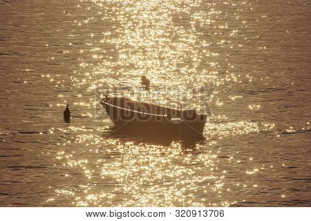 Swimmers And Motor Boat In Backlight. Sunrise In Mediterranean Sea, Solta, Croatia. Summer Vacation.