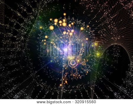 Network Growth
