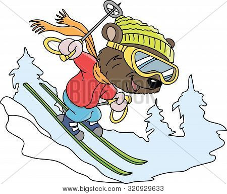 Cartoon Bear Skiing Down The Hill Vector Illustration