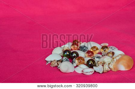 Variety Of Seashells And Glass Balls On Pink Cloth Sea Holiday Concept