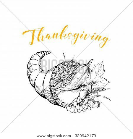 Vegetables Basket Black And White Illustration. Thanksgiving Greeting Card Design Element. Autumn Se