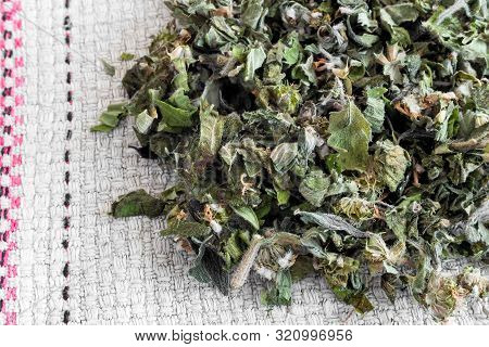 Motherwort - A Medicinal Plant With A Calming Effect