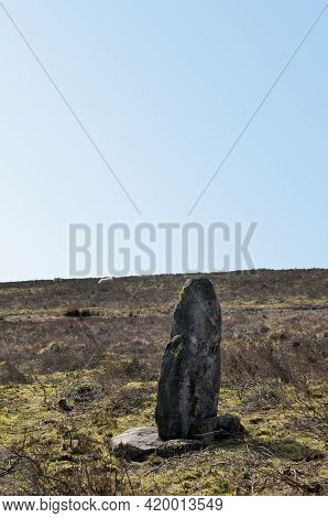 An Ancient Standing Stone Or Megalith On Midgley Moor In Calderdale West Yorkshire Surrounded By Sca