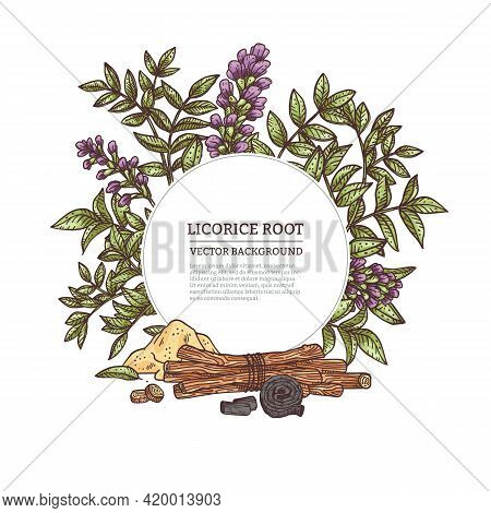 Medicine Plant Licorice Herb With Root, Flower, Leaves And Branches.