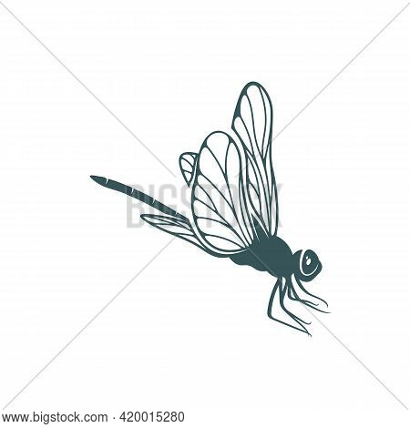 Dragonfly Design Vector Illustration, Creative Dragonfly Logo Design Concept Template, Symbols Icons