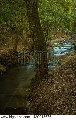 Water Stream Of Lourido River In The Park Of The Estalisnau Fountain In Maceda - Ovar, Portugal.
