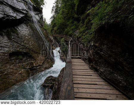 Nature Landscape Panorama Of Wooden Boardwalk Path In Raw Wild Mountain Stream River Gorge Ravine Wi