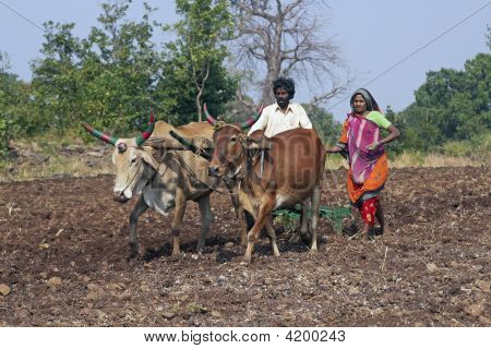 Vita rurale In India