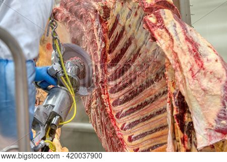 Chopped Beef Carcasses. Large Chunks Of Cow Carcasses Hang From An Overhead Conveyor.