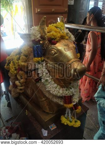 Closeup Of Shiva Linga And His Vehicle Nandi Decoration By Colorful Flowers During Maha Shivaratri F