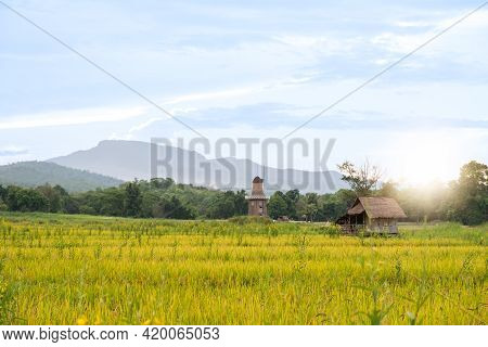 Wonderfully Relaxing Place , Huay Tung Tao Chiang Mai, Thailand