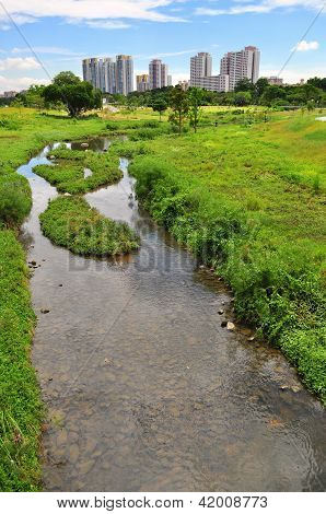 ทิวทัศน์ของสวน Bishan