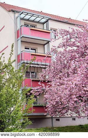 Cherry Blossoms In Front Of Modern House With Balconies, Euronean Appartment Block Of Flats In Berli