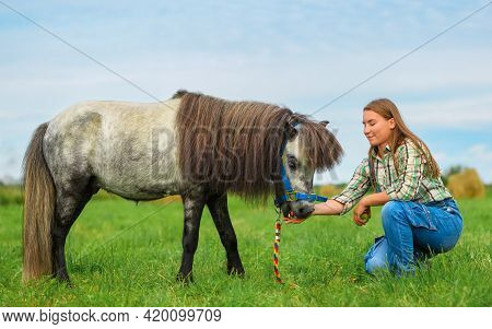 Pony Is Eating A Green Apple From A Female Hand.