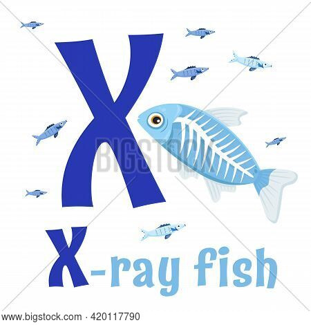Sea Animals Alphabet. Abc For Children. Letter X
