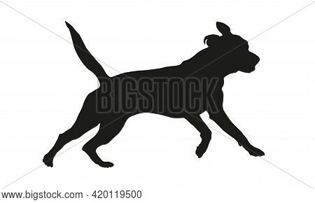 Black Dog Silhouette. Running American Pit Bull Terrier Puppy. Isolated On A White Background. Vecto