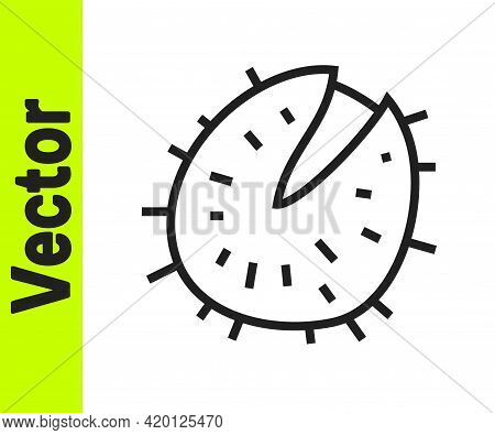 Black Line Chestnut Icon Isolated On White Background. Barbed And Strong Chestnut. Vector