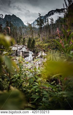 Cold Creek Waterfalls