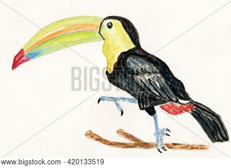 Toukan Bird Art