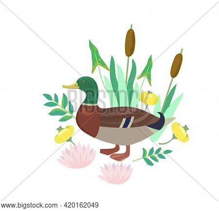 Cute Vector Illustrations With Duck, Cane And Lily Flowers.