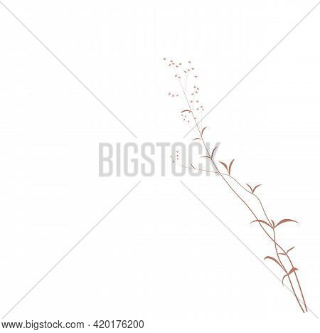 Gypsophila Stock Vector Illustration. Delicate Elegant Floral For An Invitation. Cream Color. Dry Fl