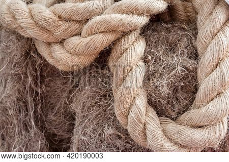 Rope Made Of Natural Coarse Sisal Fiber Obtained From The Leaves Of The Agava Sisolana Plant From Th