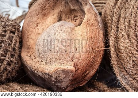 Coconut, The Fibers Of Which Make A Strong Coarse Coconut Fiber.