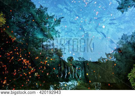 Blausee Lake Surface In Switzerland In Autumn