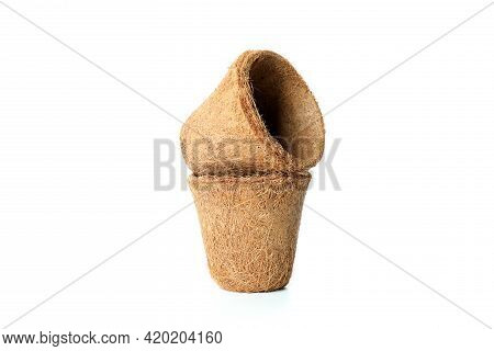 Сoconut Plant Pots Isolated On White Background