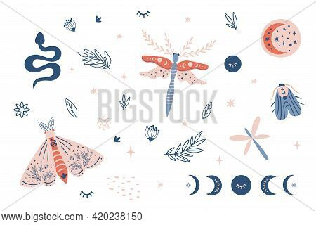 Moon Moth Clipart, Celestial Butterfly, Moth, Moon Phases Kids Set, Snake, Insects, Botany Leaves El
