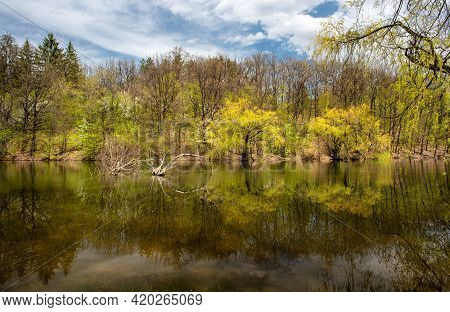 Bor Lake Artificial Lake In Eastern Serbia Near The City Of Bor