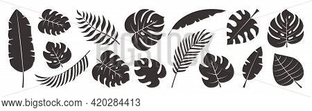 Tropical Leaves Vector Set, Black Palm Leaf Doodle Design Isolated On White Background. Nature Exoti
