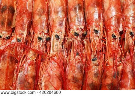 Close Up Fresh Of Raw Red Langoustines , Nephrops Norvegicus, Norway Lobster, Dublin Bay Prawn Or Sc