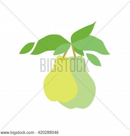 Fruit Pear Branch. Stock Vector Illustration Isolated On White Background. Two Pears Hanging On Bran