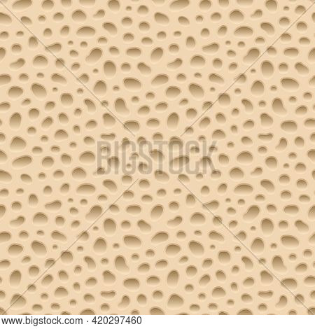 Bone Spongy Structure, Bone Structure Vector Seamless Pattern. Spongy Bone, Medicine Spongy Illustra